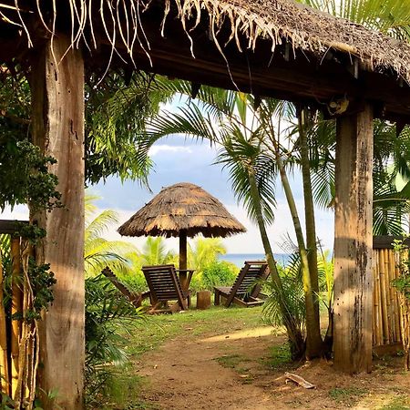 Palmlea Farms Lodge & Bures - Villas Labasa Exteriör bild