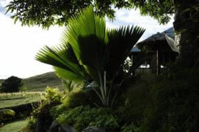 Palmlea Farms Lodge & Bures - Villas Labasa Exteriör bild