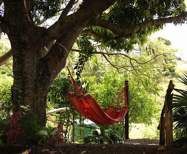 Palmlea Farms Lodge & Bures - Villas Labasa Exteriör bild