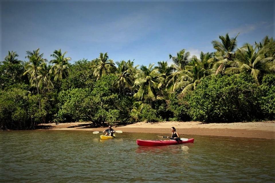 Palmlea Farms Lodge & Bures - Villas Labasa Exteriör bild